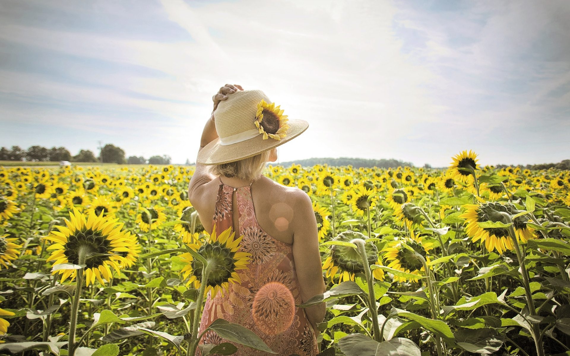Sommer und Sonne